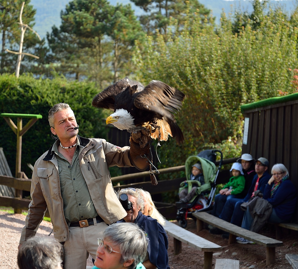 Netzwerk Ausflug in den Vogelpark Steinen 2.10.13 Nr.4