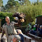 Netzwerk Ausflug in den Vogelpark Steinen 2.10.13 Nr.4