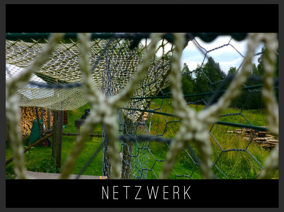 NETZWERK