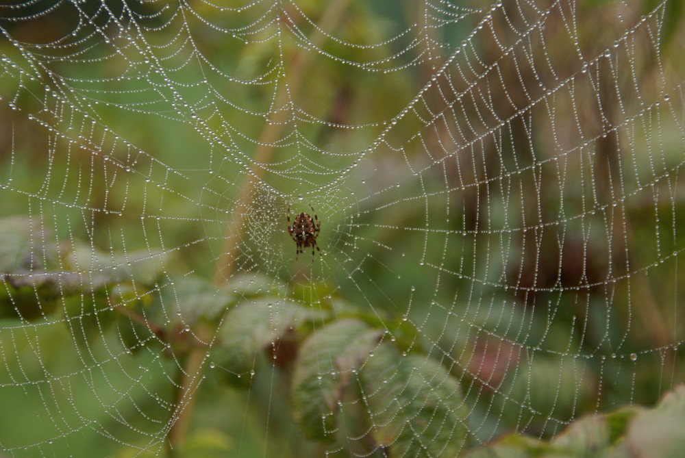 Netzwerk flicken