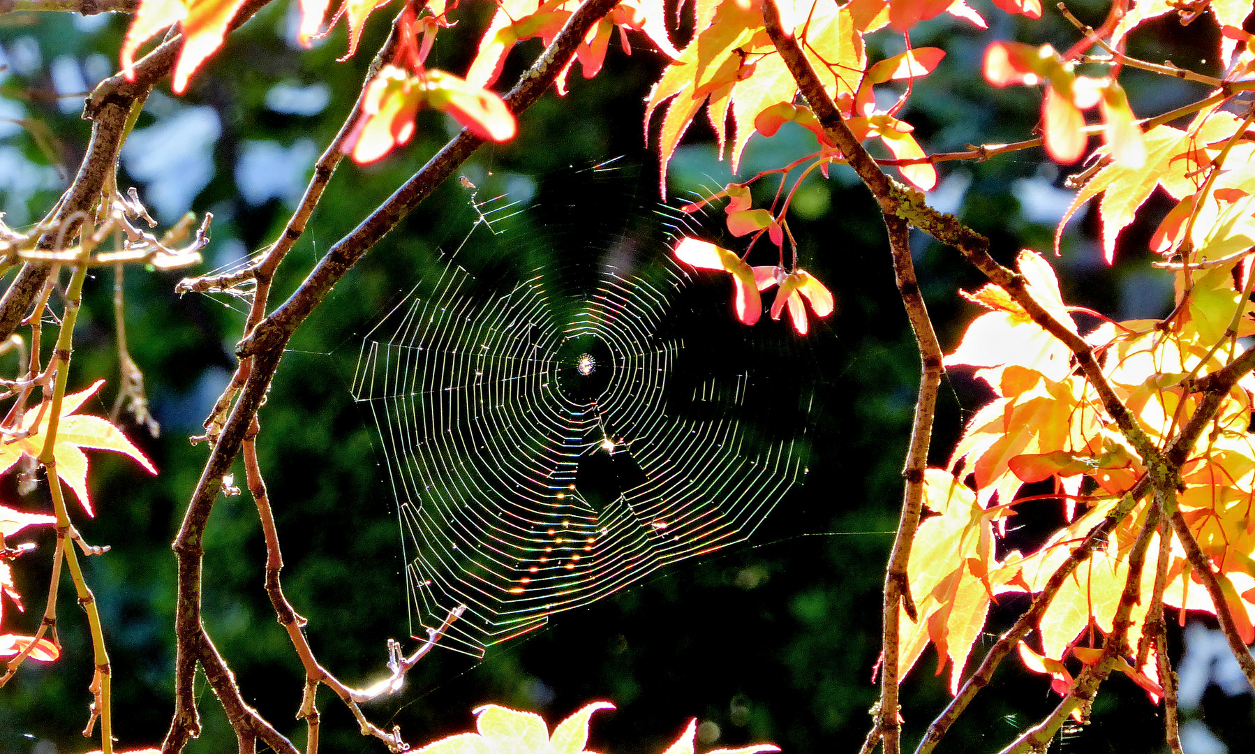 Netzwerk mit Löchern