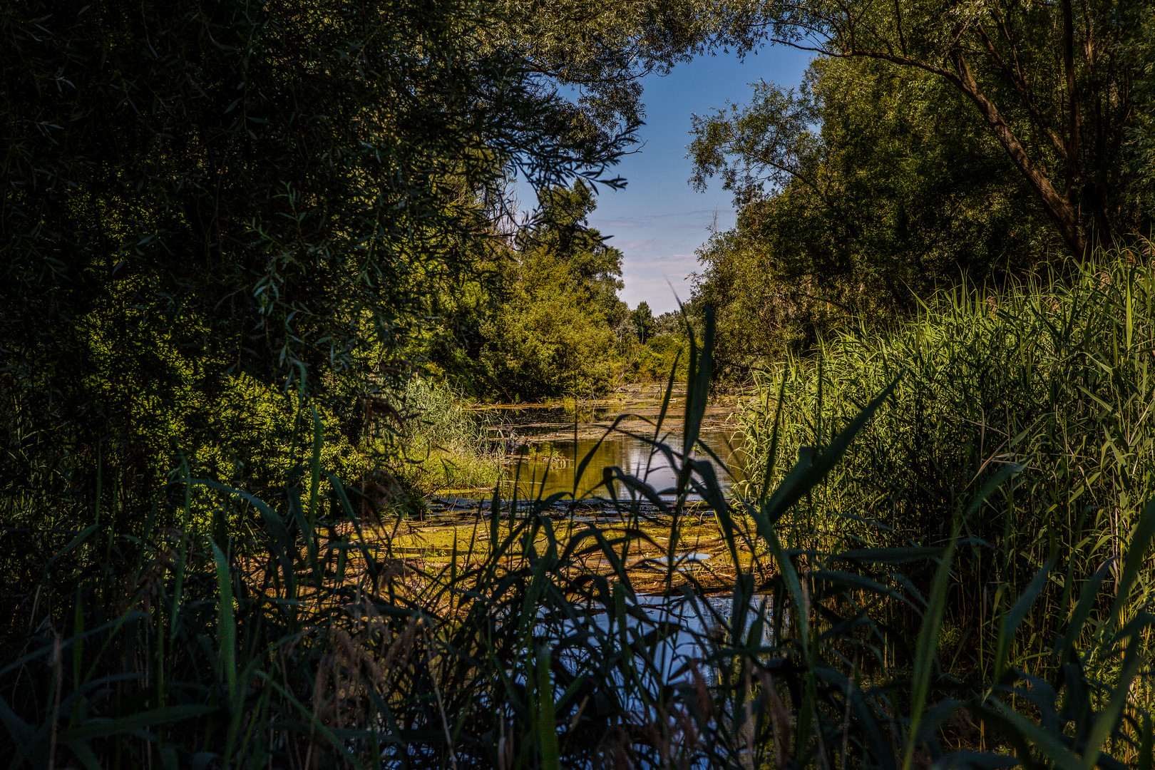 Netzwerk Natur