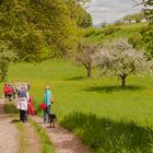 Netzwerk- Treff ab 50 Wanderung Dinkelberg Lk Lörrach