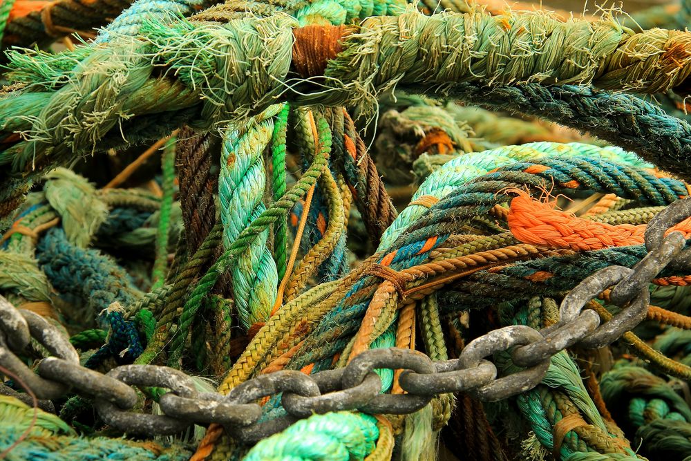 Netzwerke Foto & Bild deutschland, europe, stillleben Bilder auf