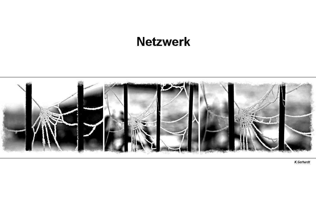 Netzwerke der Natur