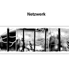 Netzwerke der Natur