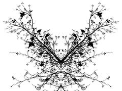 "Netzwerke" der Natur 