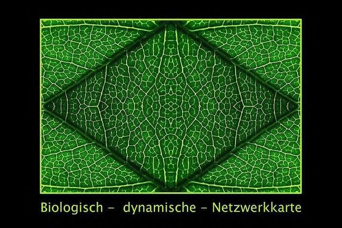 Netzwerkkarte (Vierfachspiegelung)