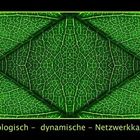 Netzwerkkarte (Vierfachspiegelung)