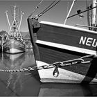 " NEU 03 "