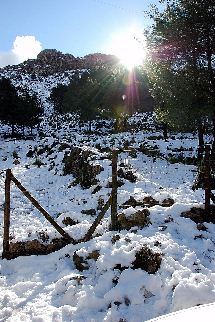 Neu a la Serra de Tramuntana