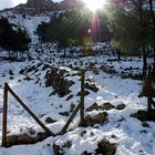 Neu a la Serra de Tramuntana