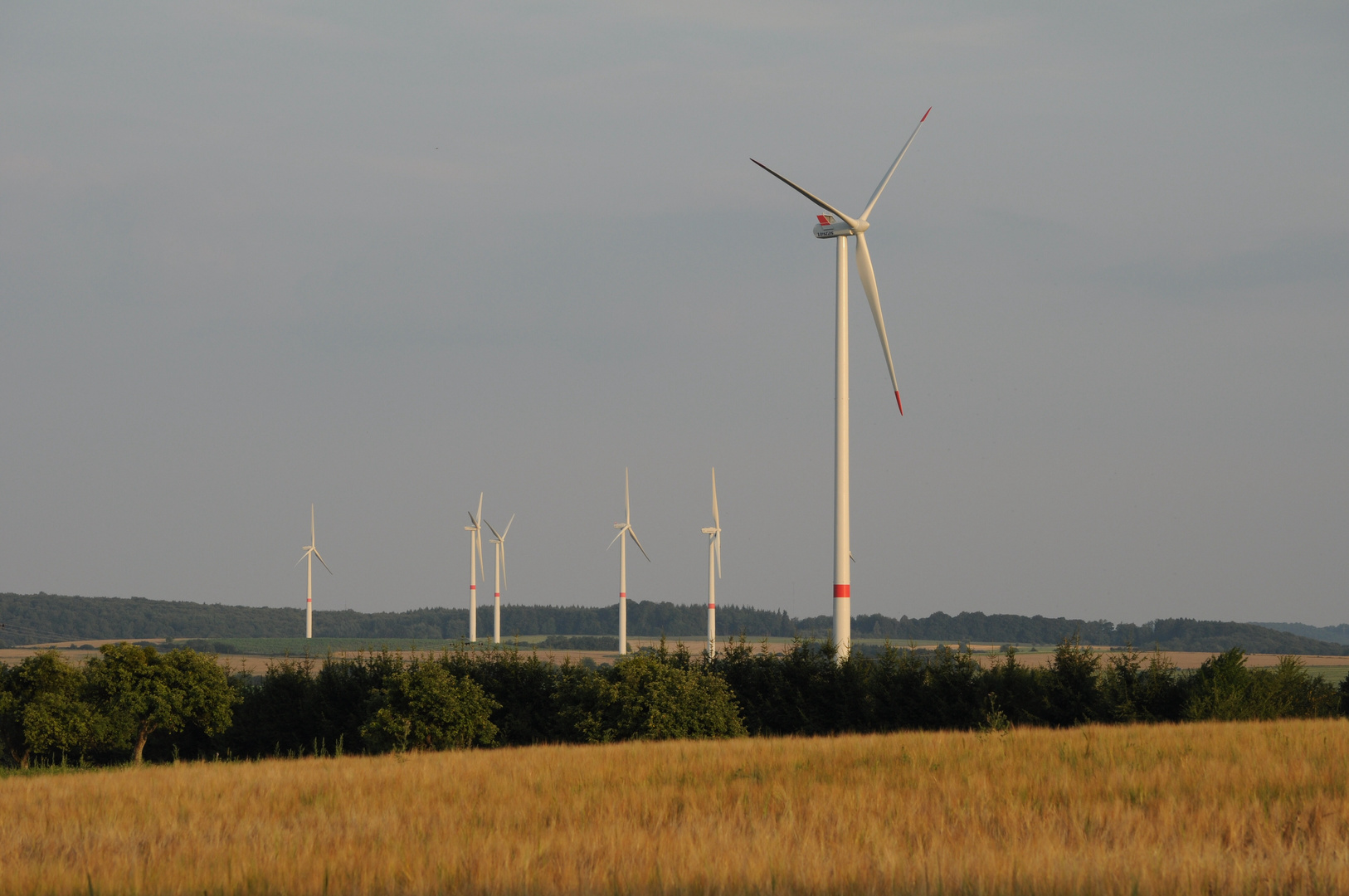 Neu aufgestellte Windräder