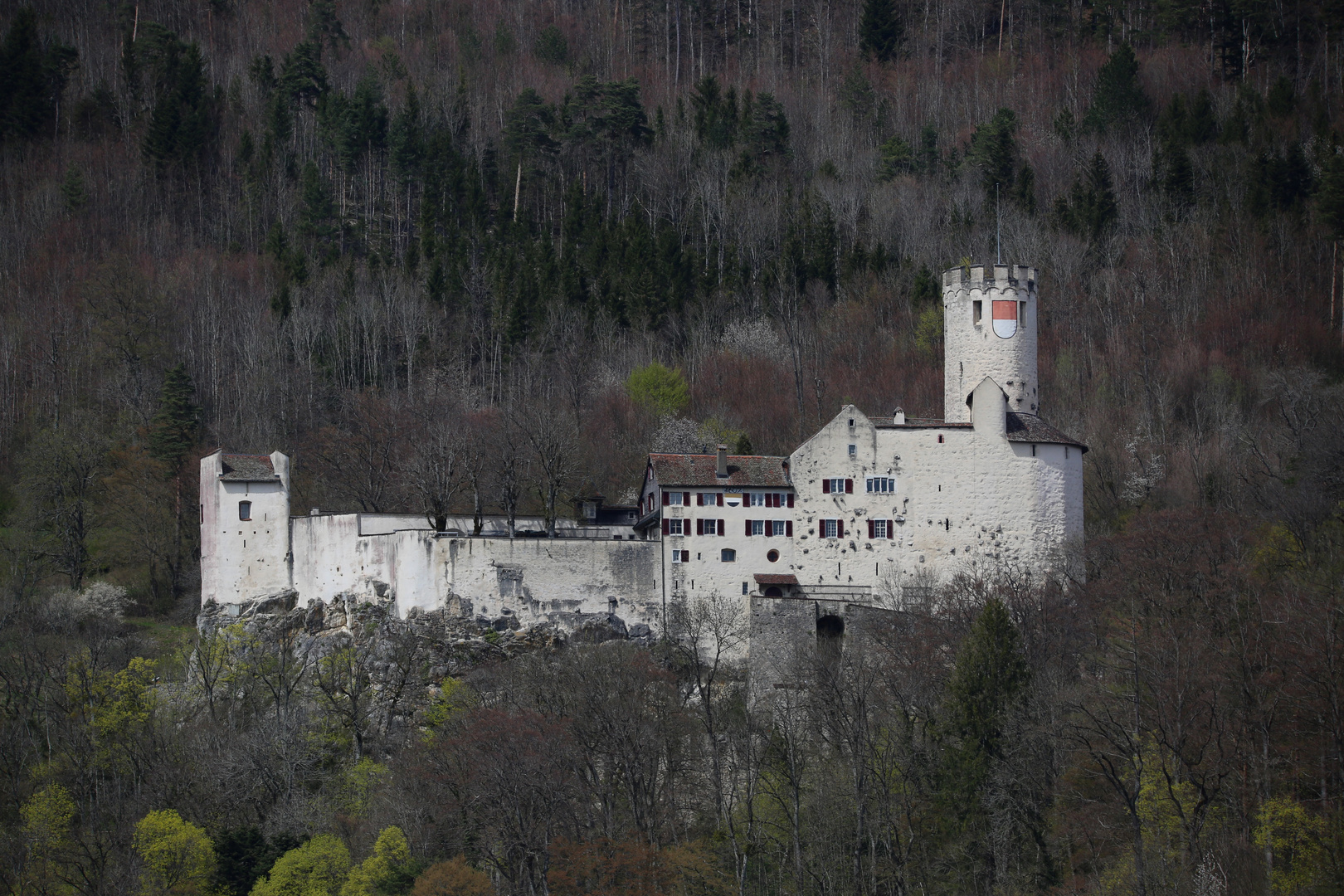 Neu Bechburg