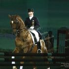 NEU - EQUITANA: NEUE Fotos von der EQUITANA 2007