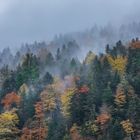 Neu i tardor, Val d'Aran  