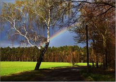 neu Landschaft mit Regenbogen