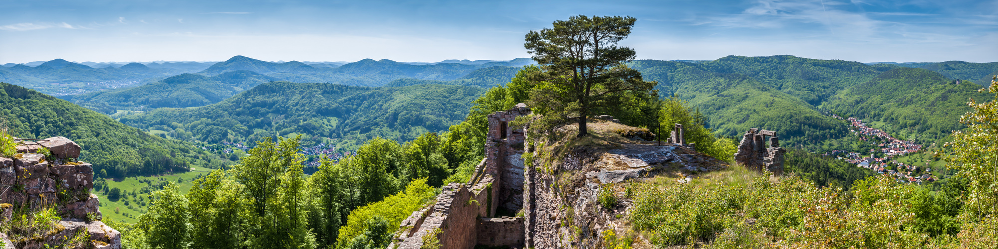 Neu-Scharfeneck (3)