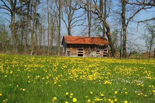 Neu und Alt - Fühling im Allgäu