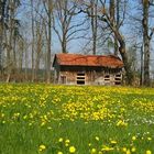 Neu und Alt - Fühling im Allgäu