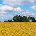 Neu und Alt. Windmühlen auf der Haar _MG_0032-