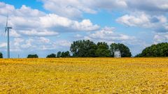 Neu und Alt. Windmühlen auf der Haar _MG_0032-