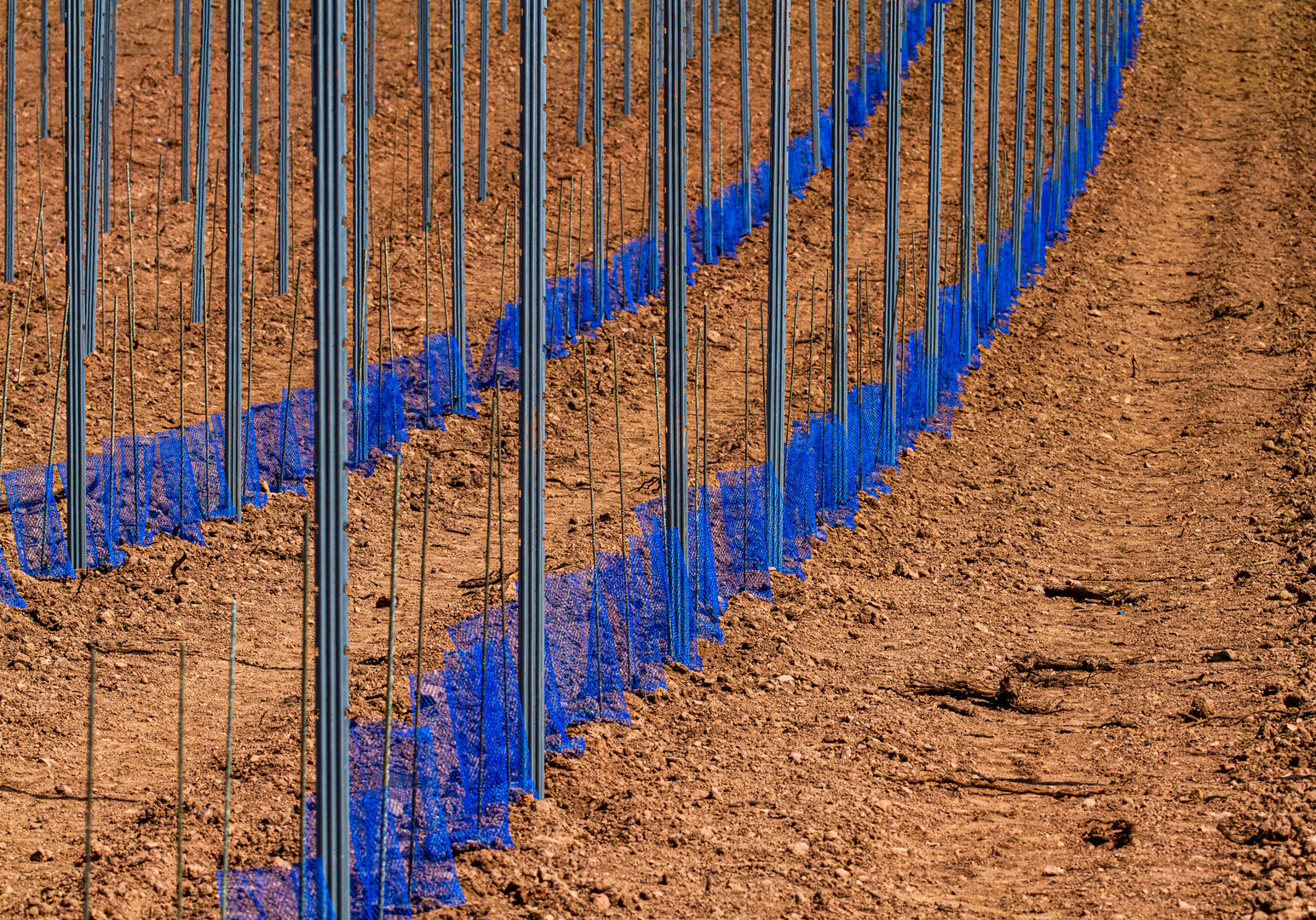 Neuanlage Foto & Bild landschaft, projekte, kulturlandschaften Bilder