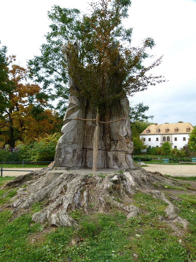 Neuanpflanzung im Fürst-Pückler-Park, Bad Muskau