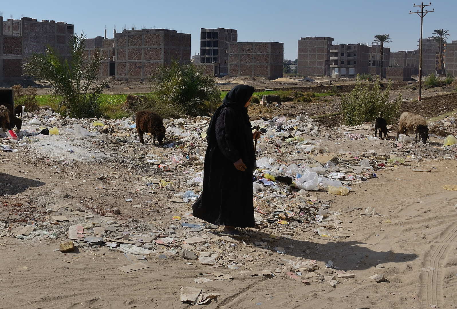 Neubaugebiet in Luxor