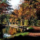 Neubrandenburg im Herbst