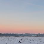 Neubrandenburg im Sonnenuntergang