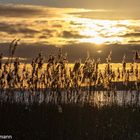 Neubrandenburg Tollensesee