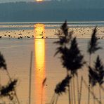 Neubrandenburg, Winterabend am Tollensesee