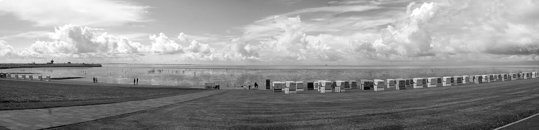 NEUbüsum-großes panorama