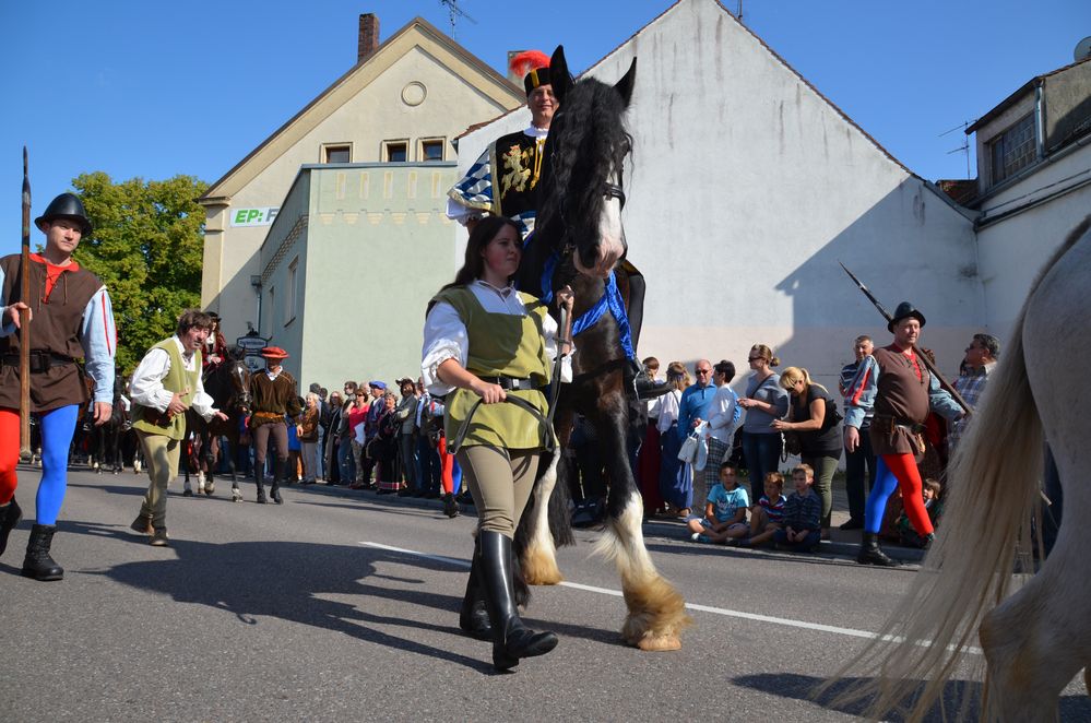 Neuburger Schlossfest