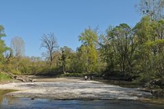 Neuburgweier: Altrheinparadiese 01