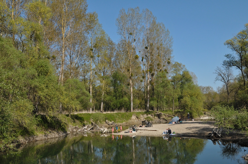 Neuburgweier: Altrheinparadiese 03