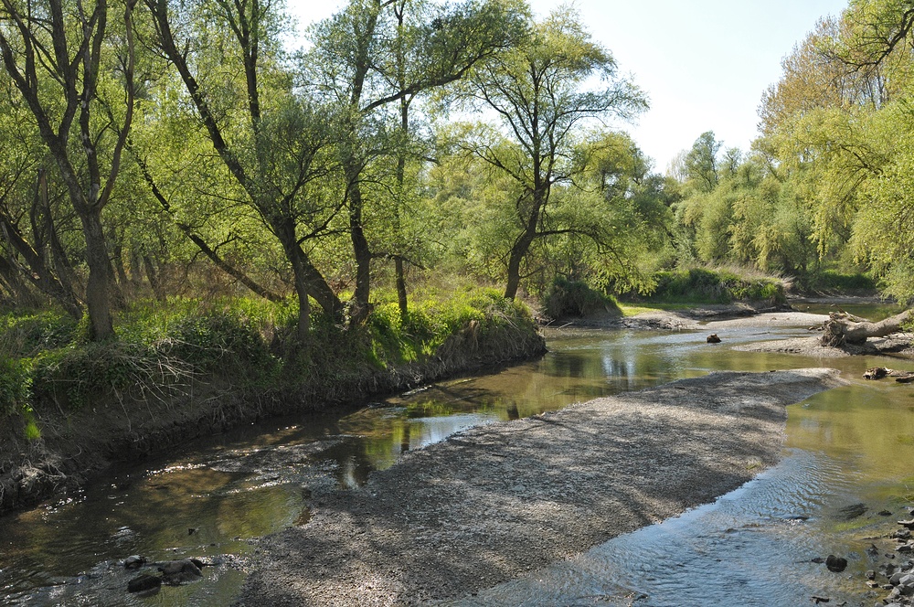 Neuburgweier: Altrheinparadiese 05