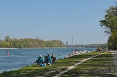 Neuburgweier: An der Fähre 05