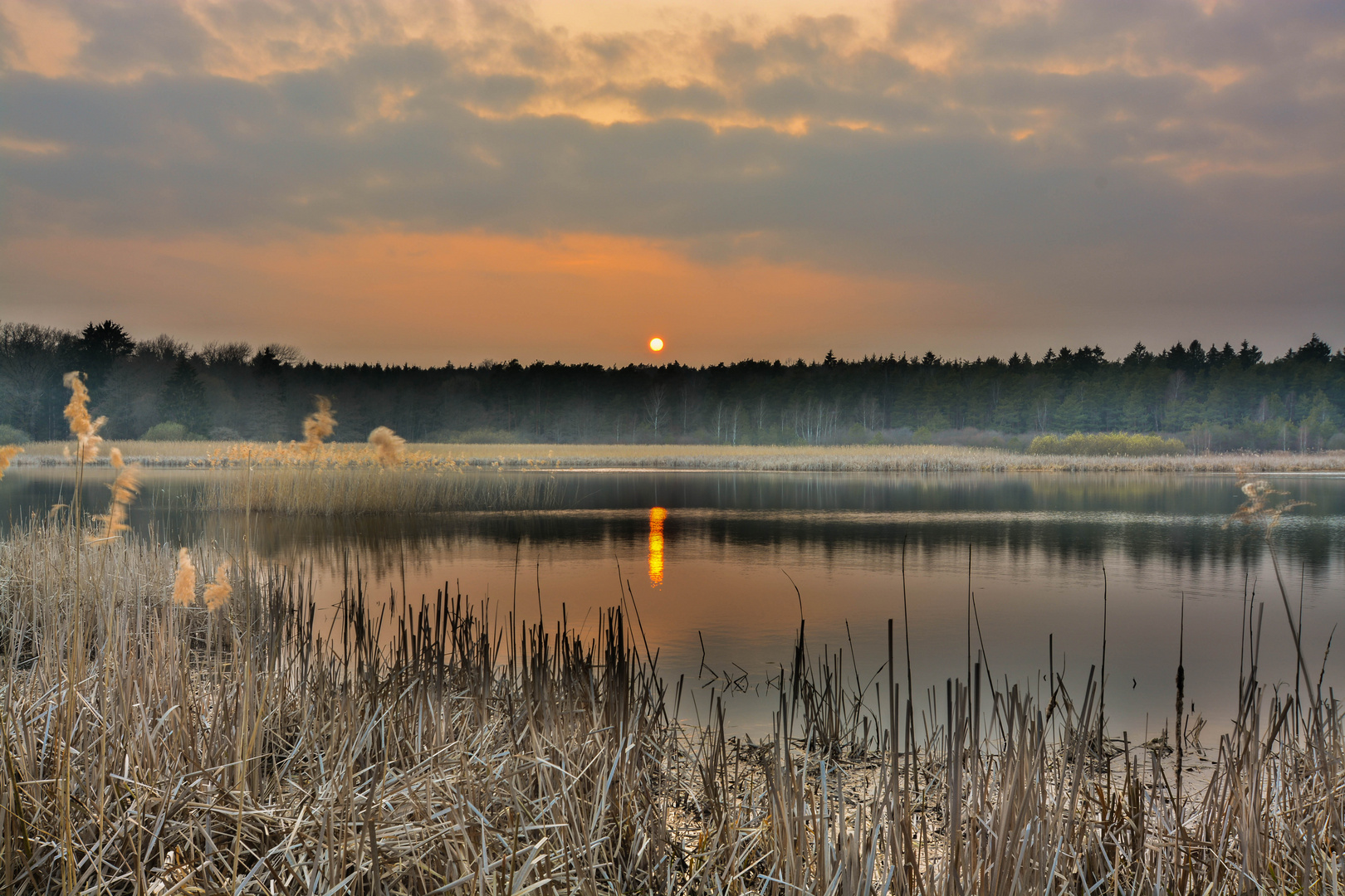 Neudauer Teich