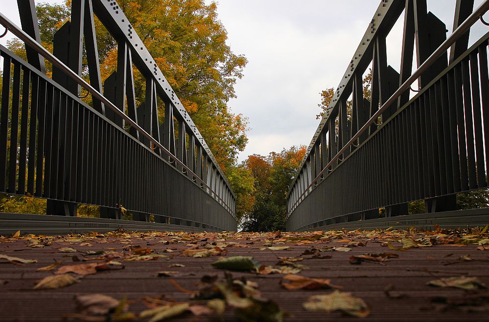 neue Alte Lunebrücke