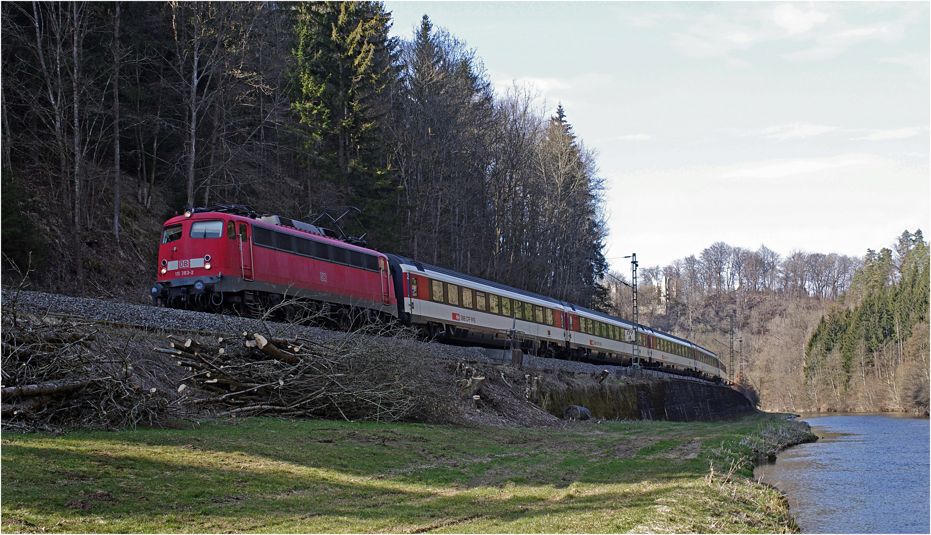 Neue Baumfreiheit