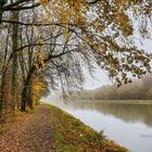 Neue Blätter braucht das Land