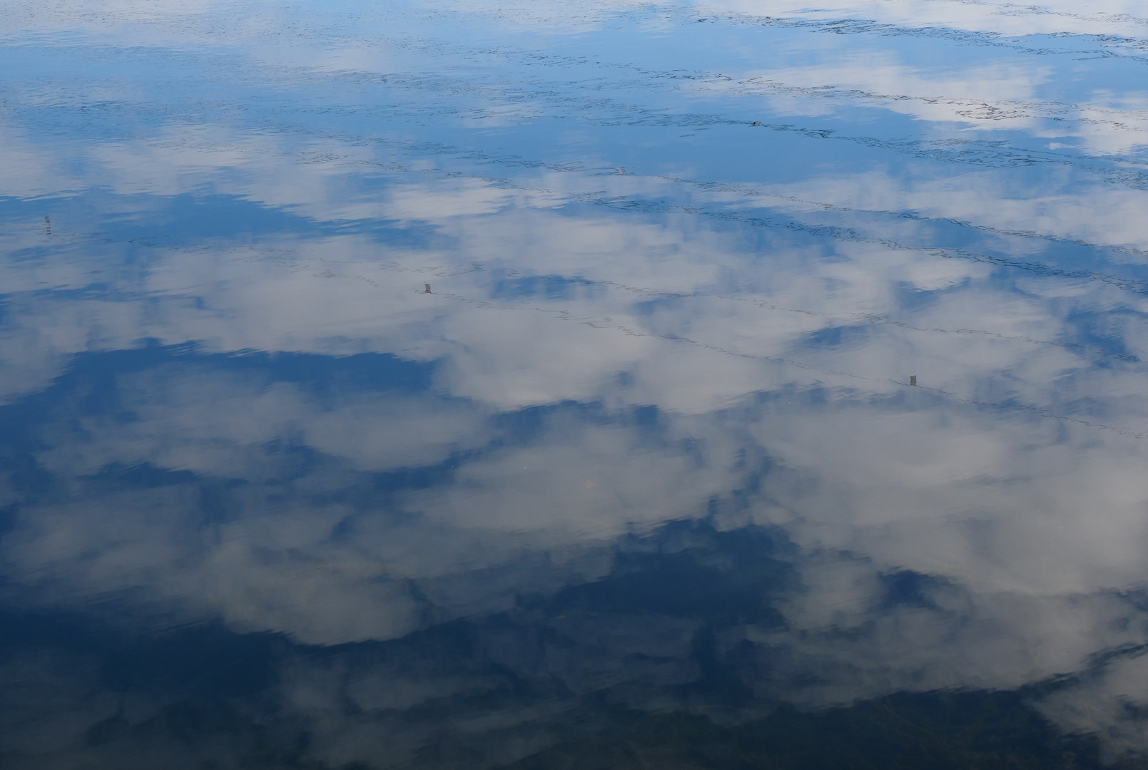 Neue Donau: heute bewoelkt