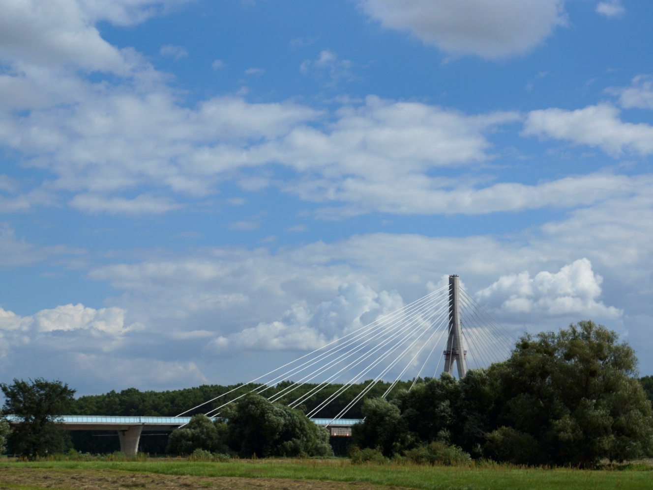 neue Elbbrücke in Schönebeck