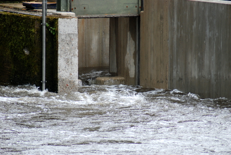 Neue Fischtreppe in Solingen Wupperhof