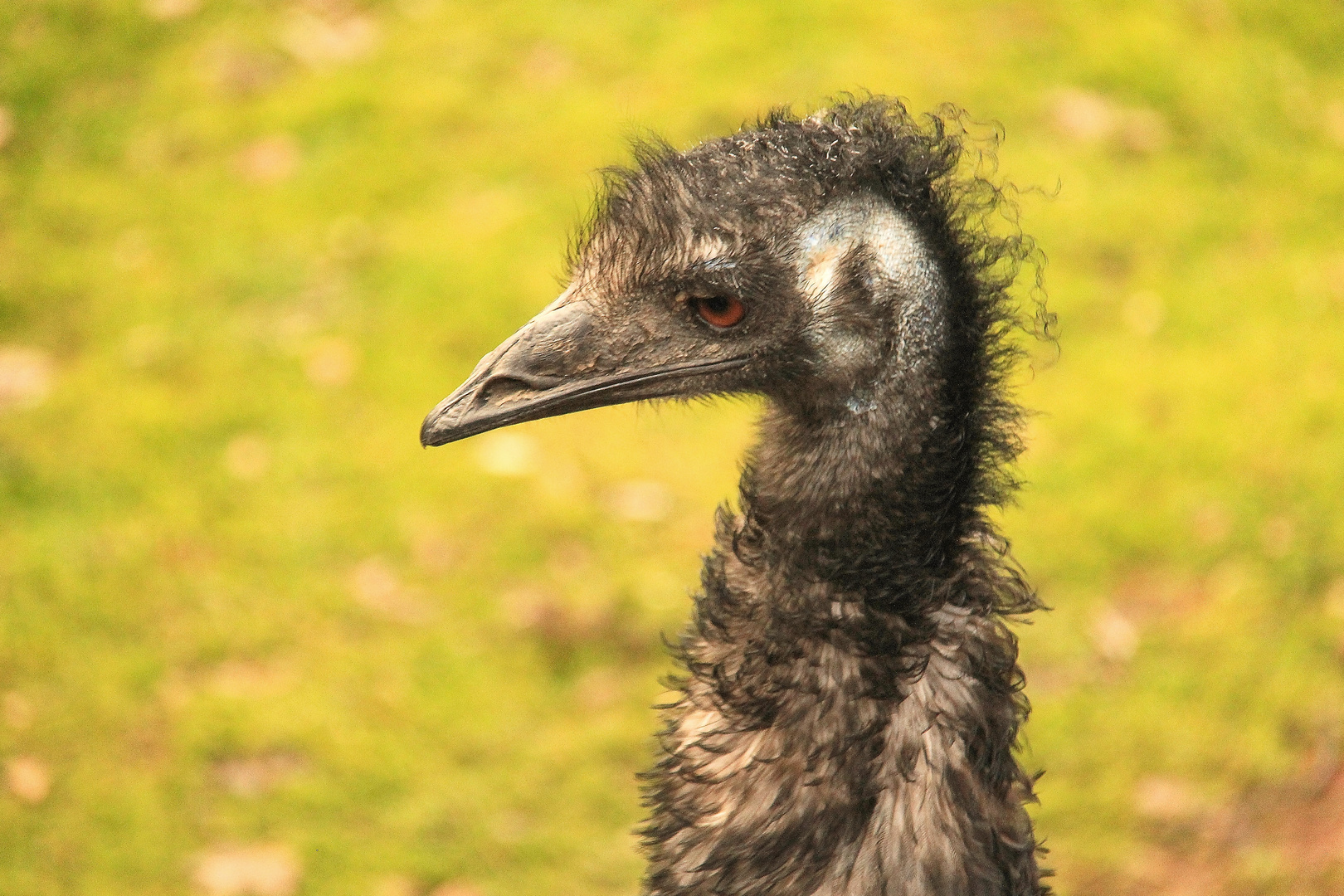 Neue Frisur?