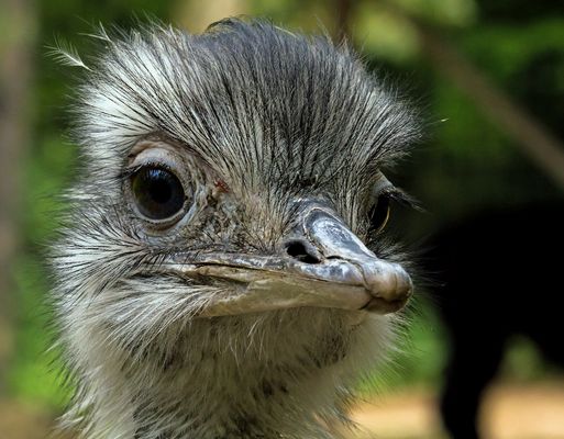 neue frisur .....waschen....fönen...legen ..heute sonderangebot € 18.50
