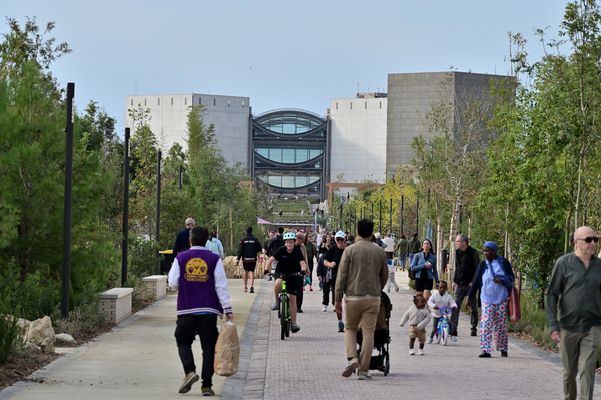 Neue GartenanlageDSC_9052