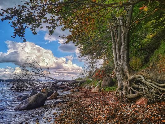 Neue Heimat im Hohen Norden
